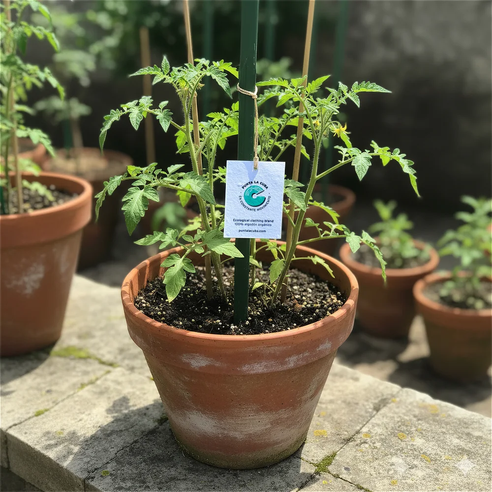  <SPAN STYLE="font-size:36px">Siempre en movimiento</SPAN><br>Un futuro